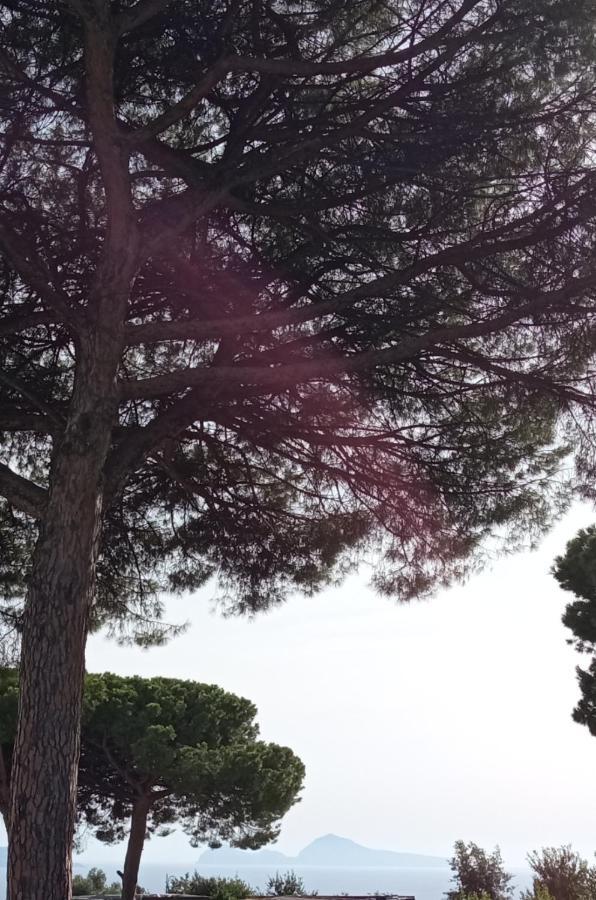 Bed and Breakfast Vesuvio Casa De Charme Trecase Exterior foto