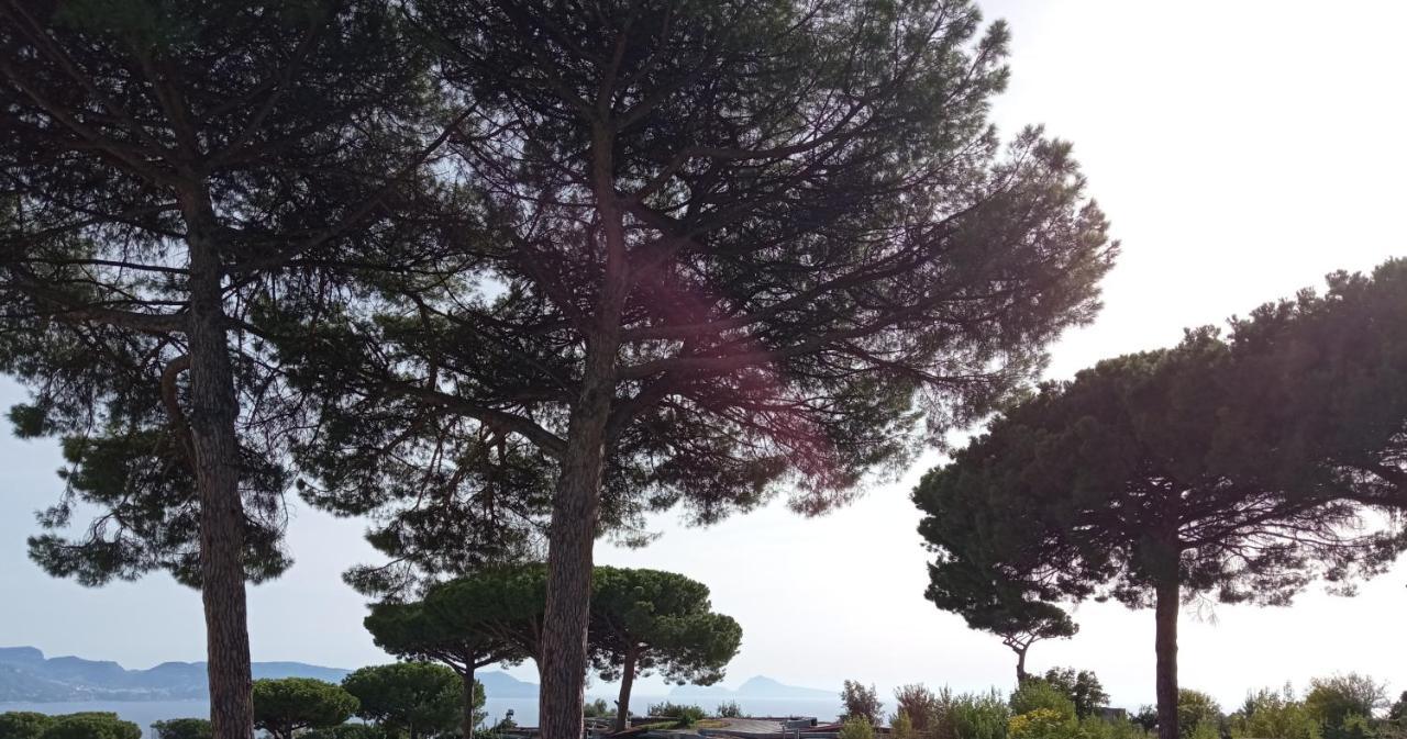 Bed and Breakfast Vesuvio Casa De Charme Trecase Exterior foto